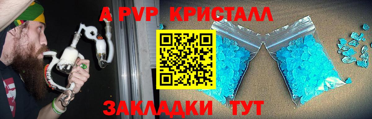 А ПВП СК КРИС  А ПВП СК КРИС  Брянск  Вход с VPN  как найти   Альфа ПВП VHQ 