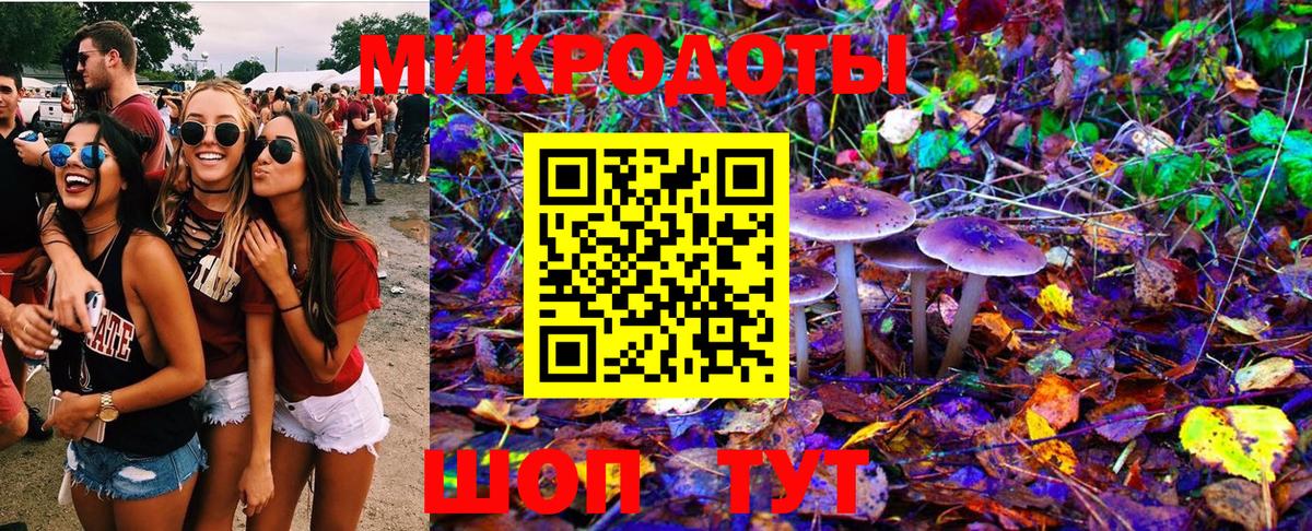 Псилоцибиновые грибы Psilocybe  Вход с VPN  Псилоцибиновые грибы мухоморы  цены наркотик  Брянск 